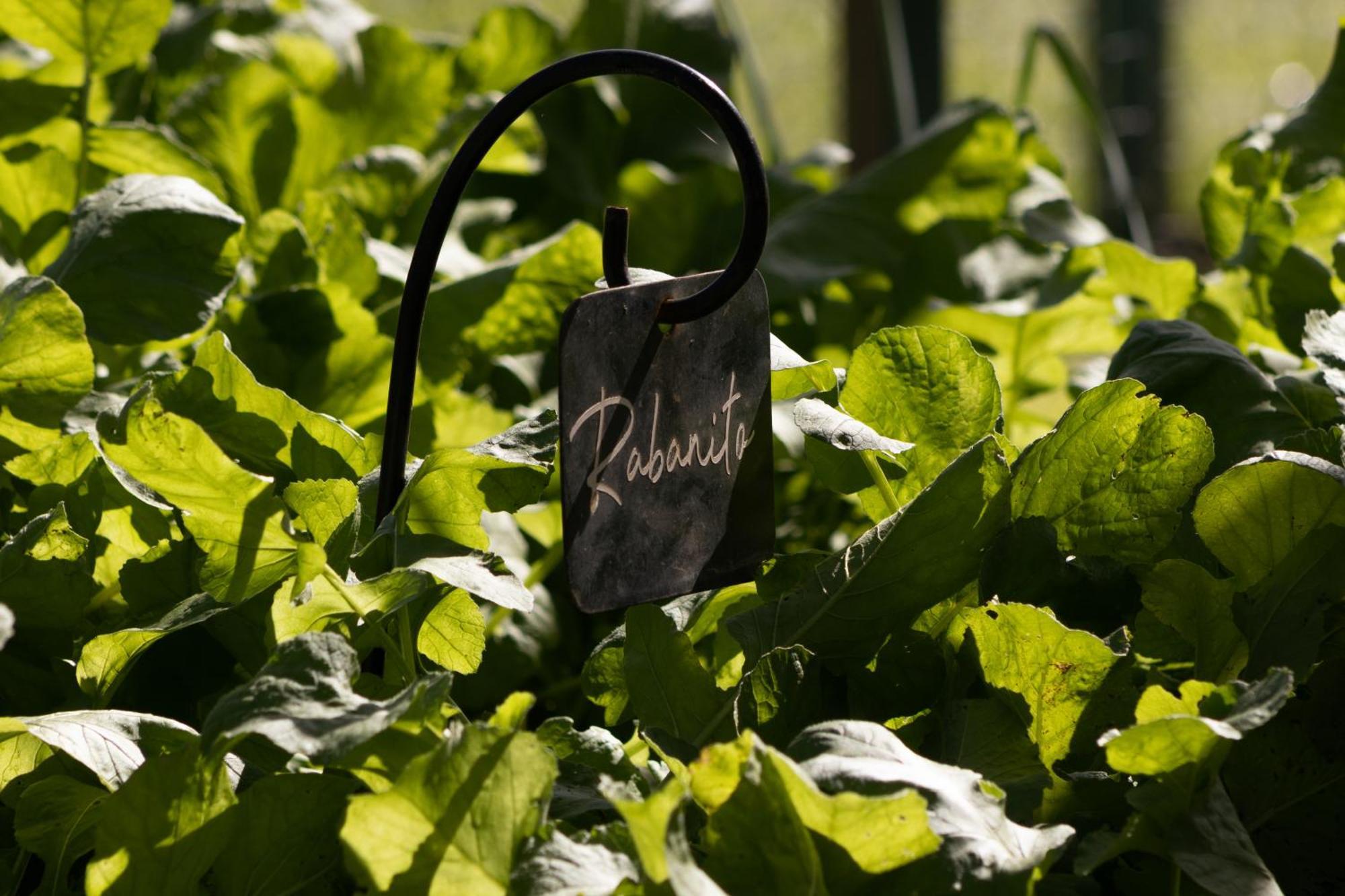 El Colibri - Relais & Chateaux Santa Catalina  Exteriör bild